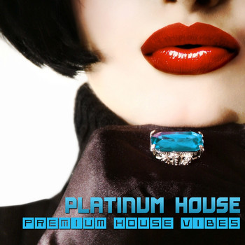 Various Artists - Platinum House - Premium House Vibes