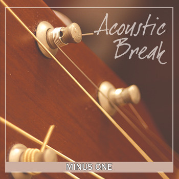 Various Artists - Acoustic Break (Minus One)