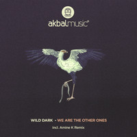 Wild Dark - We Are The Other Ones