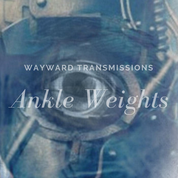 Wayward Transmissions - Ankle Weights