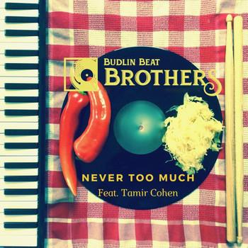 Budlin Beat Brothers - Never Too Much (feat. Tamir Cohen)