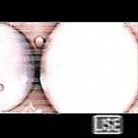 Lise - Bonnieclyde 2001