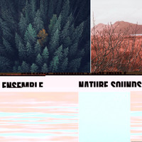 Natural Sound Makers, Zen Music Garden - Nature Sounds Ensemble 2019 - Rain, Sea Waves, Ocean, Wind, Forest