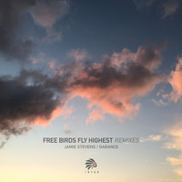 Mario Neha - Free Birds Fly Highest Remix Session 01