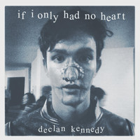 Declan Kennedy - If I Only Had No Heart