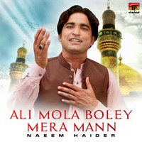 Naeem Haider - Ali Mola Boley Mera Mann - Single