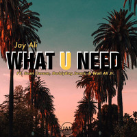 Jay Ali - What You Need (feat. Sean Carson, BoddyBag Jones & Wali Ali Jr)