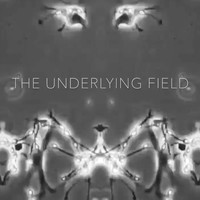 The Underlying Field - The Eternal Processes