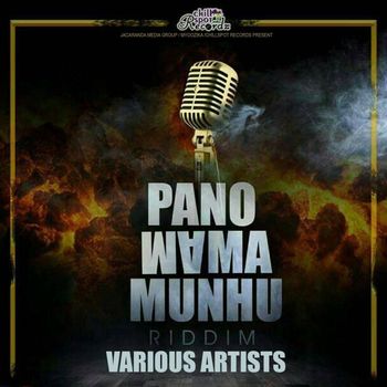 Various Artists - Panomama Munhu (Explicit)