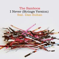 The Bamboos - I Never (feat. Dan Sultan) (Strings Version)