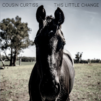 Cousin Curtiss - This Little Change