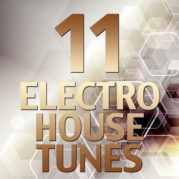 Various Artists - 11 Electro House Tunes