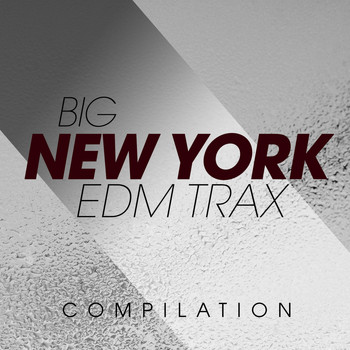 Various Artists - Big New York EDM Trax Compilation