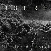 Nicolas de Zorzi - Usure
