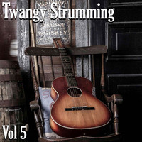 d.C. soulplusmind - Twangy Strumming Vol. 5