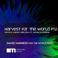 Groove Junkies &  Reelsoul - Harvest for the World, Pt. 2