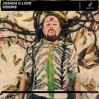 Joshua C Love - Visions