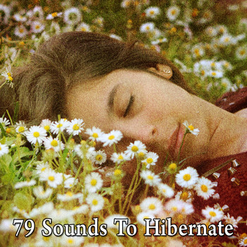 White Noise Babies - 79 Sounds to Hibernate
