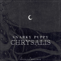 Snarky Puppy - Chrysalis