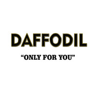 Daffodil - Only for You