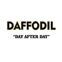 Daffodil - Day After Day