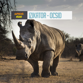 Izikator - Ocsid