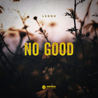 LEDDH - No Good