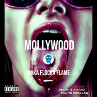 Waka Flocka Flame - Mollywood (Explicit)