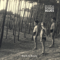 Budda Power Blues - Healing Earth (feat. Galandum Galundaina)