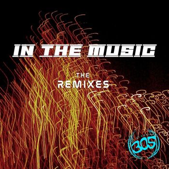 RhythmDB - In The Music (The Remixes)
