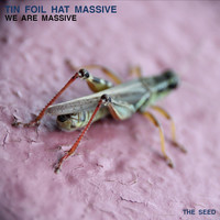Tin Foil Hat Massive - We Are Massive