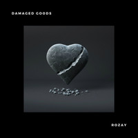 Rozay - Damaged Goods