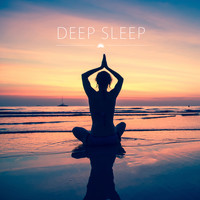 Studeer Muziek, Musique pour l’Etude and Musica Para Estudiar Y Concentrarse - Deep Sleep