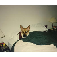 Hi-Score - Bedridden (Explicit)
