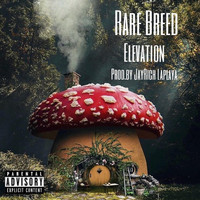Rare Breed - Elevation (Explicit)