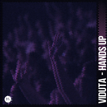 Viduta - Hands Up