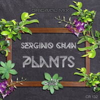 Serginio Chan - Plants
