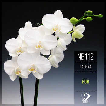 Pashaa - Huh