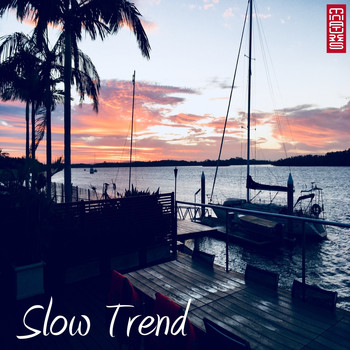 Various Artists - Slow Trend