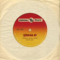 Şükran Ay - Usandım Artık Felek / Kaçak Aşk