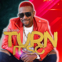 Mr Blood - Turn It So