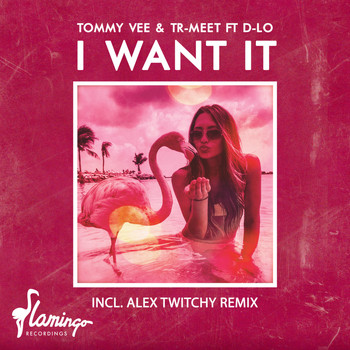 Tommy Vee and Tr-Meet featuring D-LO - I Want It