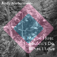 Andy Niedermeier - Maybe I Just Shouldn't Do What I Love