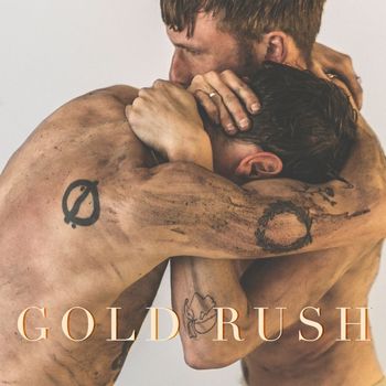 Need For Speed - Gold Rush