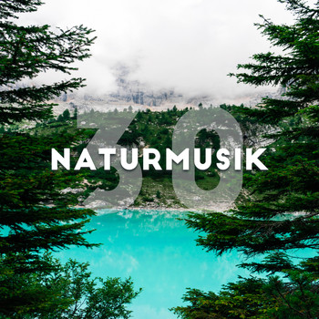 Various Artists - Naturmusik (30 Spår för sömn, Meditation, Avkoppling och spa)
