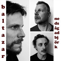 Baltazar - Nedsågad Björk