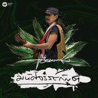 Add Carabao - Miracle Marijuana