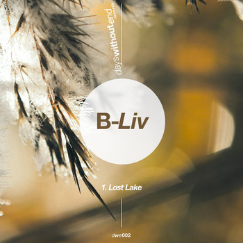 B-Liv - Lost Lake