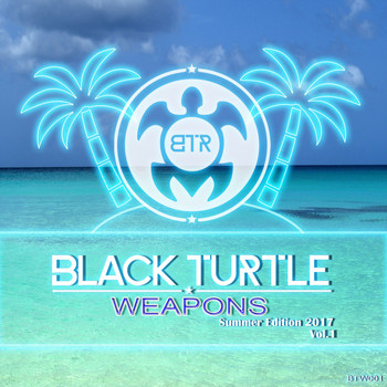 Various Artists - Black Turtle Weapons Summer Edition 2017, Vol. 1