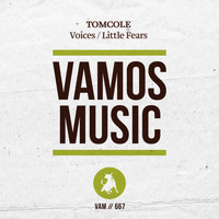 TomCole - Voices / Little Fears
